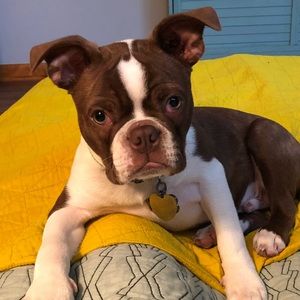 Meet your Posher, Natalie